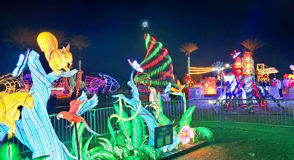 Jax Beach Deck The Chairs