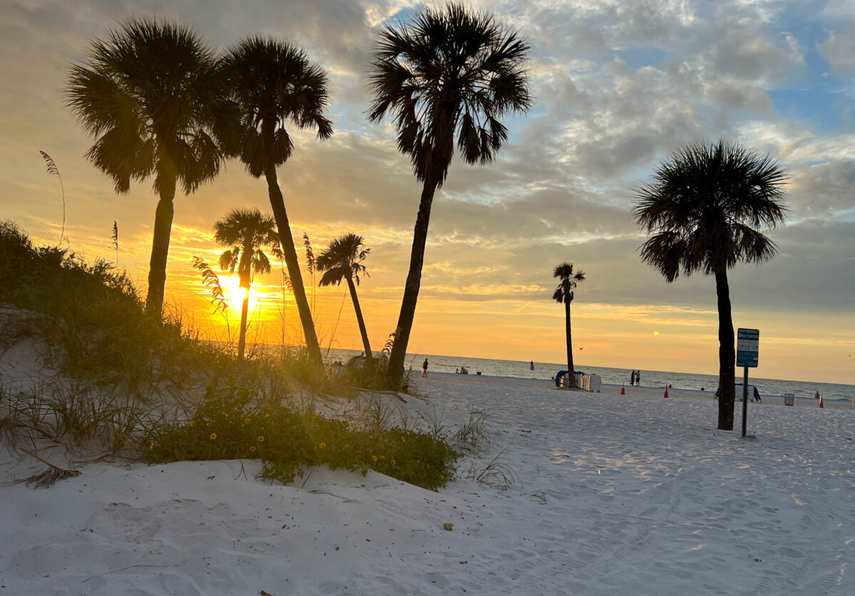 Palm Trees Sand Sunset, Clearwater Beach, Florida