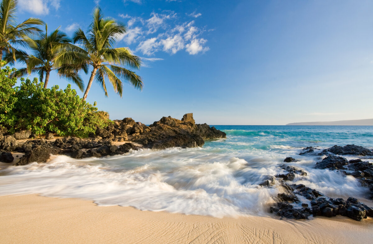 Beach in makena cove with palm tree and waves in south maui, hawaii