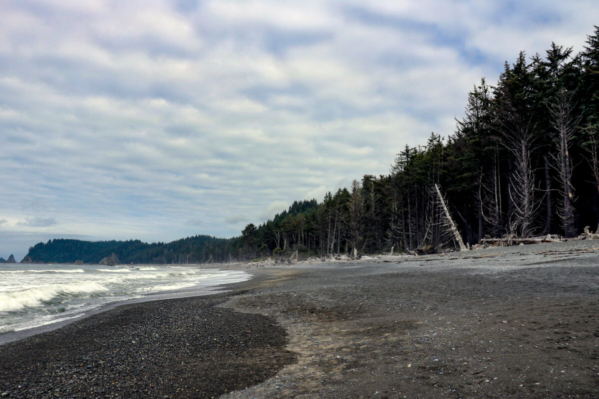 Black Sands Beach, The Lost Coast, California