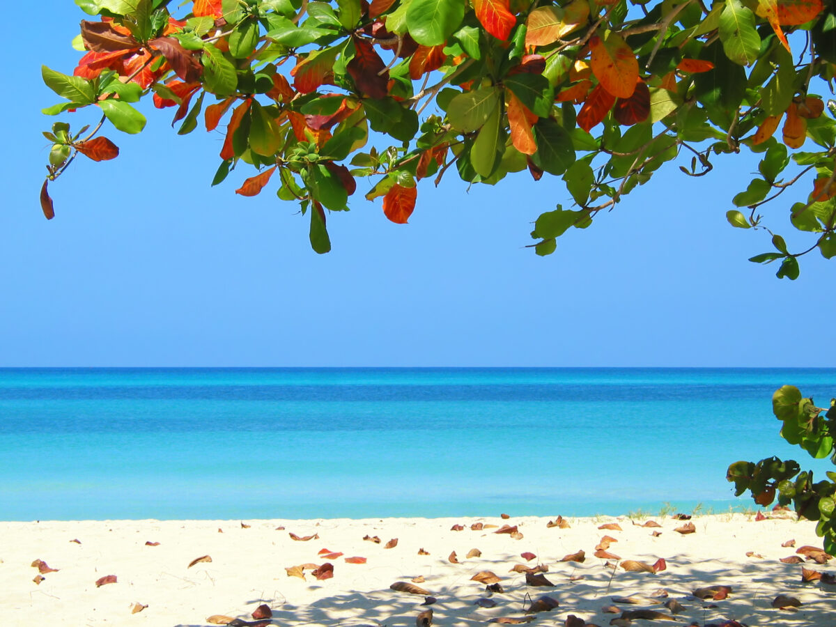 Beautiful scene at the negrils beach, jamaica