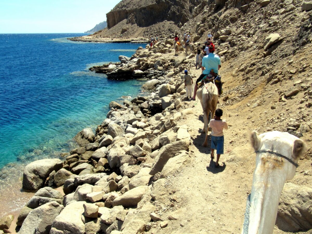 Ras Abu Galum Reserve