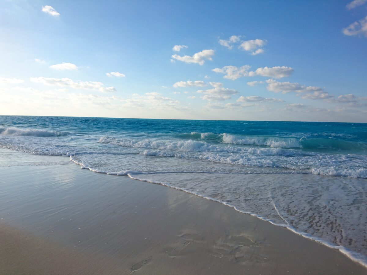 Northern coast of Egypt