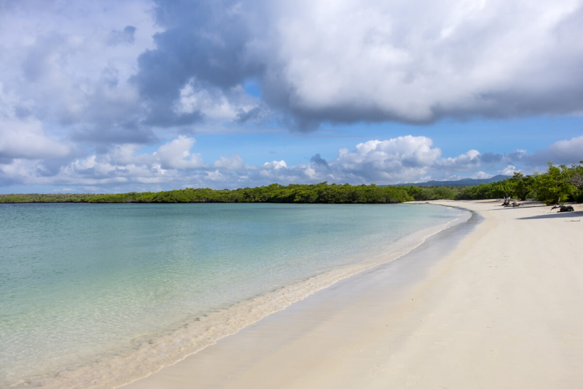 Calm Lagoon on Tortuga Bay
