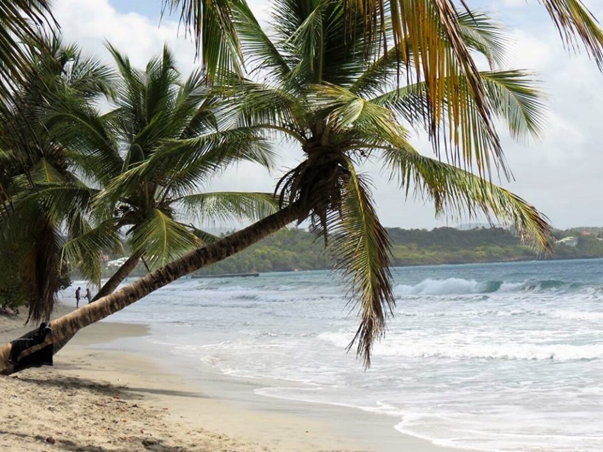 Tropical beach les salines Island Martinique