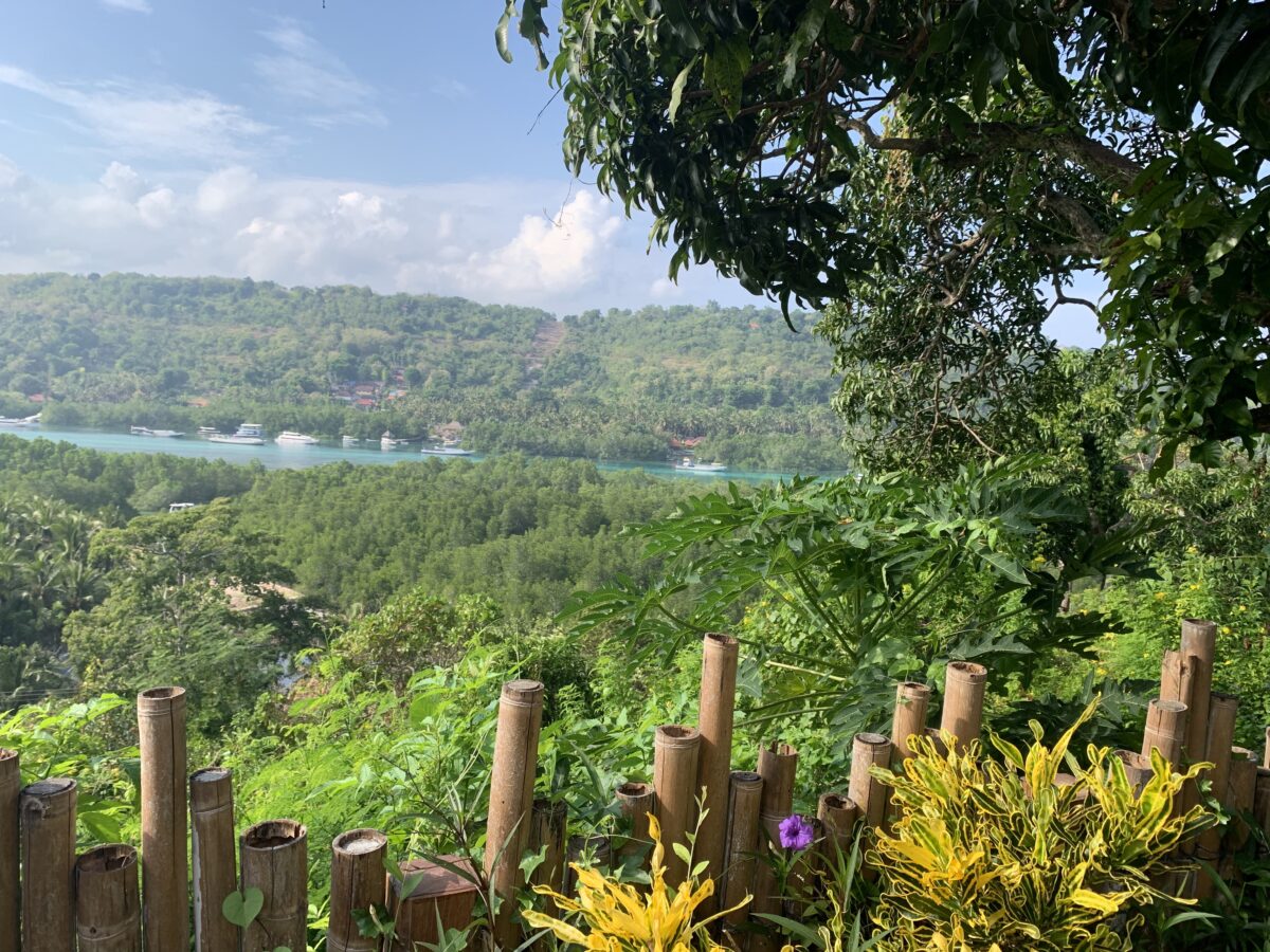 Middle of the island