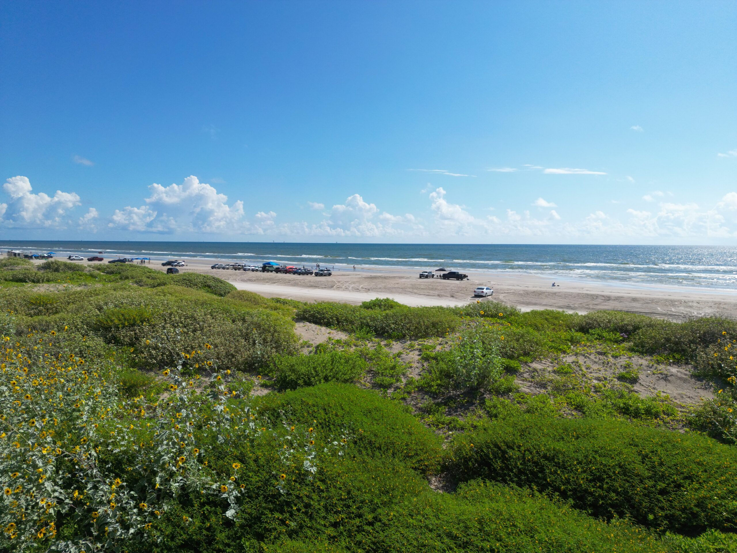 6 Best Beaches in Corpus Christi, Texas