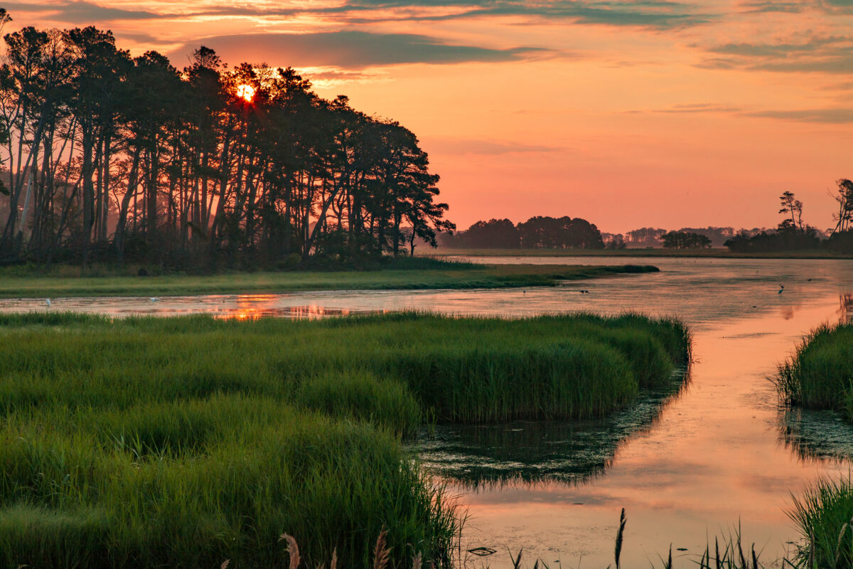 Chincoteague, Virginia Sunset