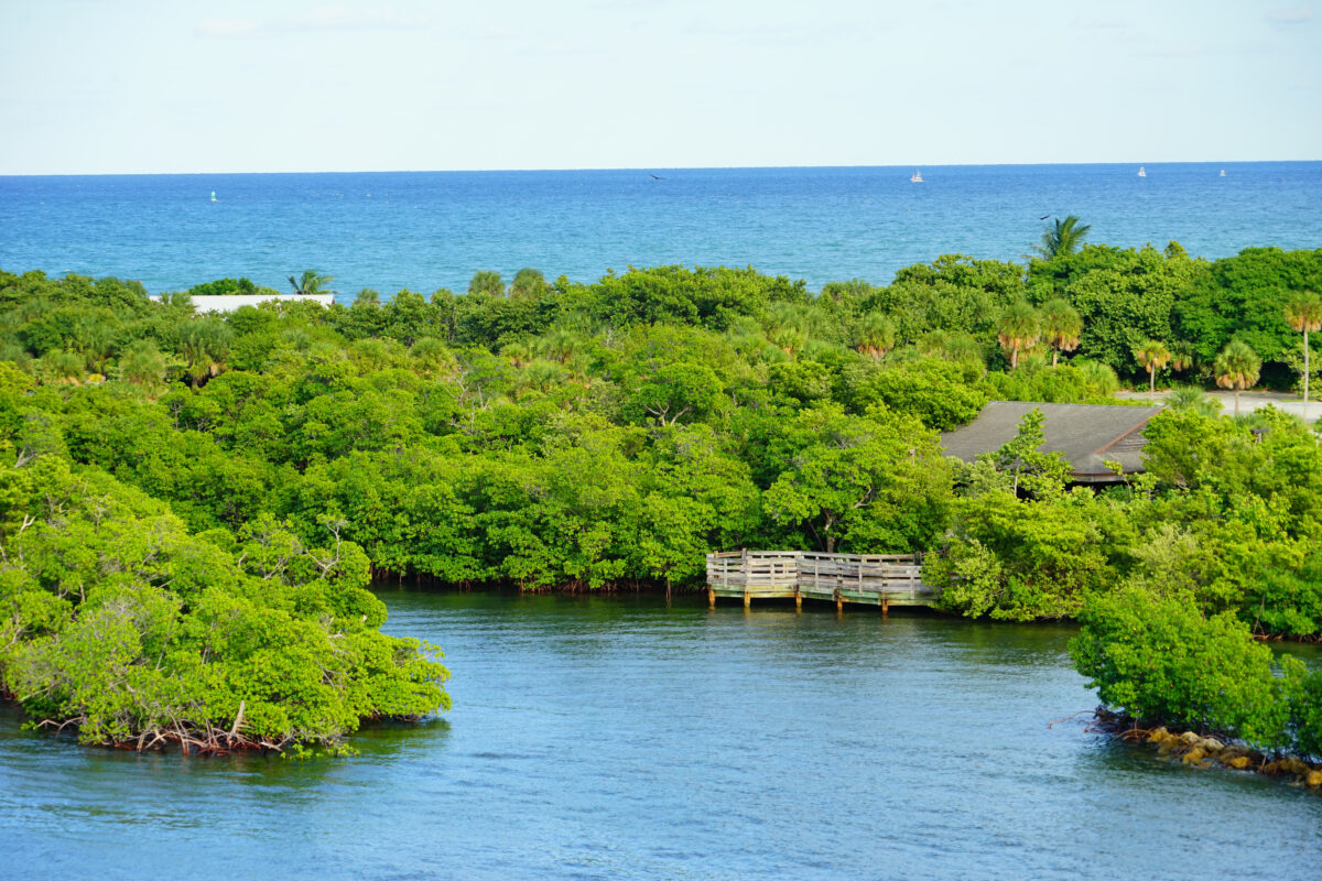 Dr. Von D. Mizell-Eula Johnson State Park 