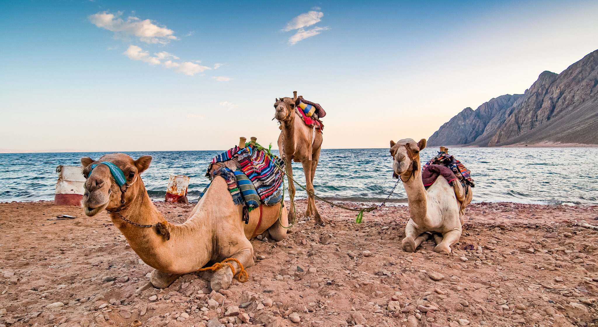 Dahab, Egypt: An Insider Guide to the Red Sea’s Coolest Beach Town