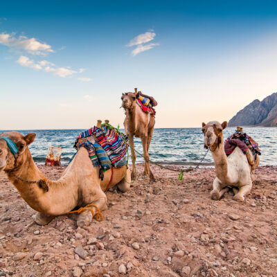 Dahab, Egypt: An Insider Guide to the Red Sea’s Coolest Beach Town