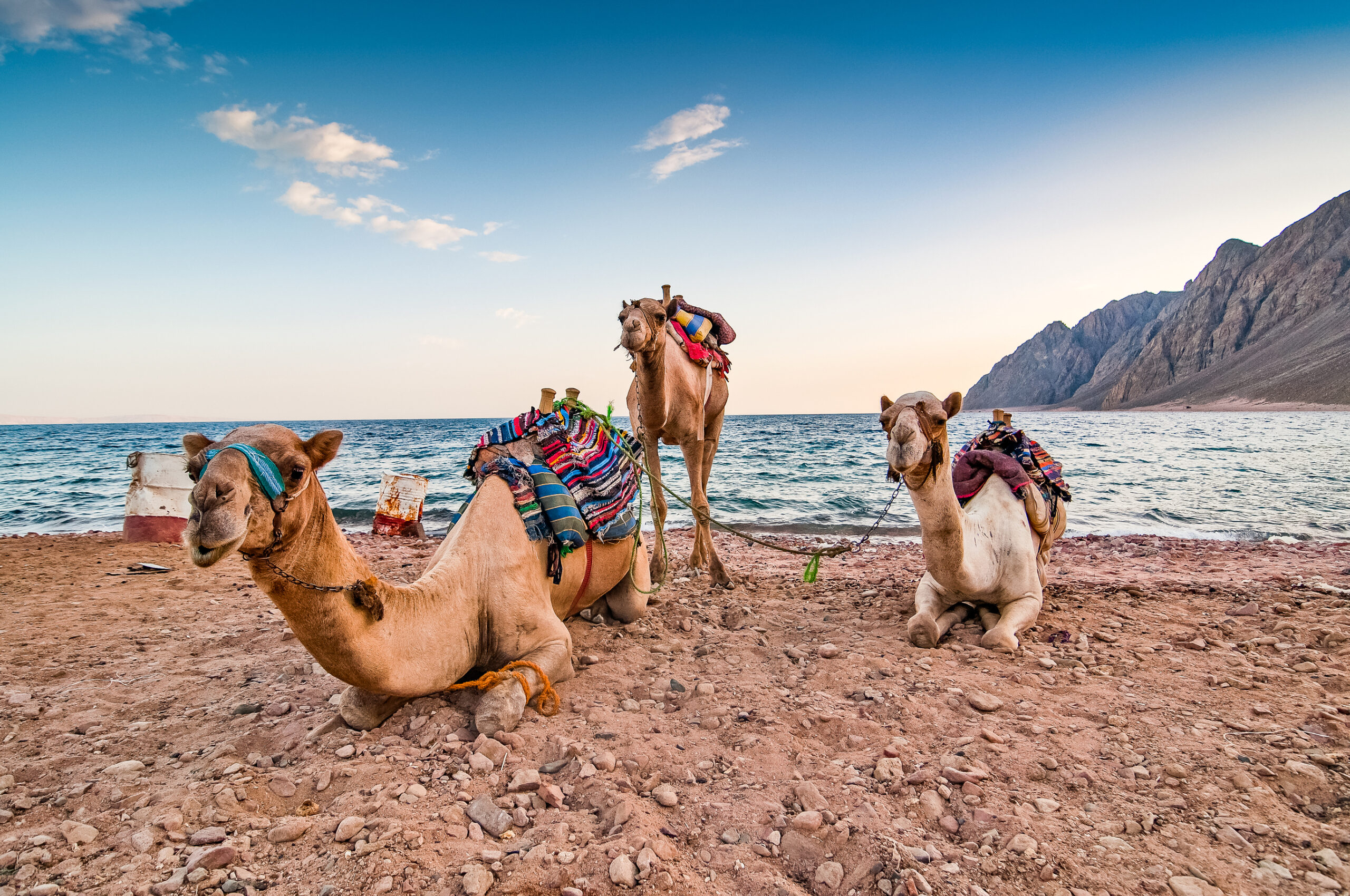 Dahab, Egypt: An Insider Guide to the Red Sea’s Coolest Beach Town