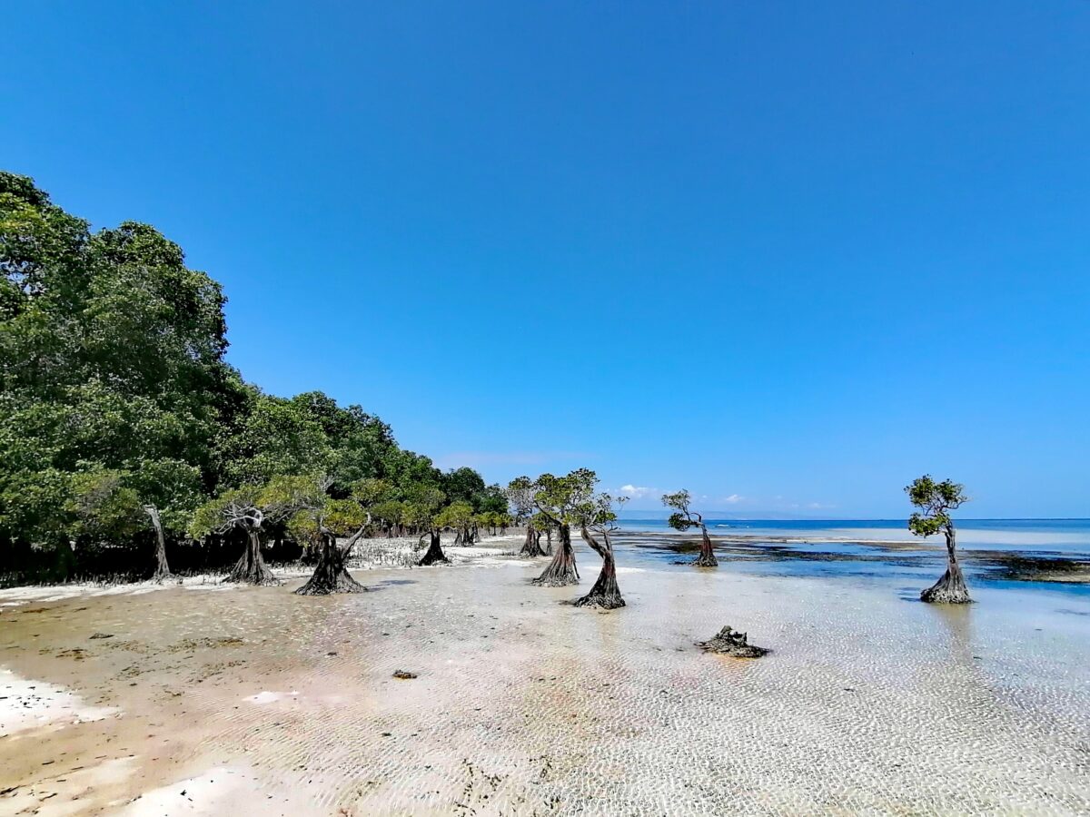 Walakiri Beach, Indonesia