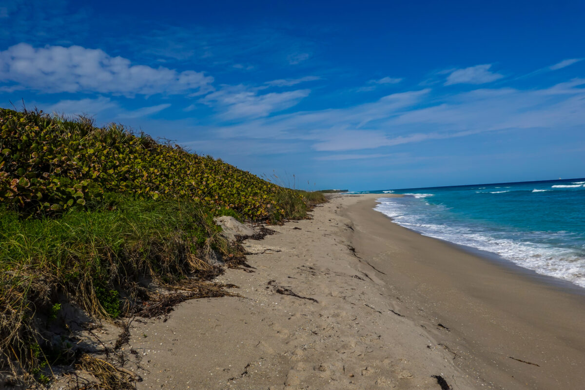 John D. MacArthur Beach State Park in Palm Beach County, Florida