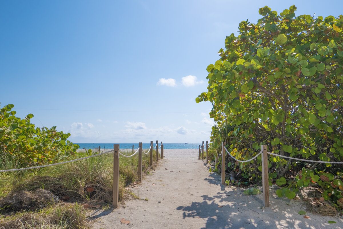 Beach Path to Ocean - Mid Beach