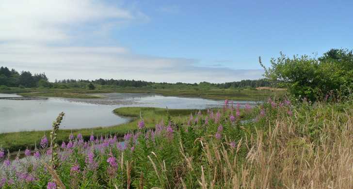 Sitka Sedge State Natural Area, Oregon