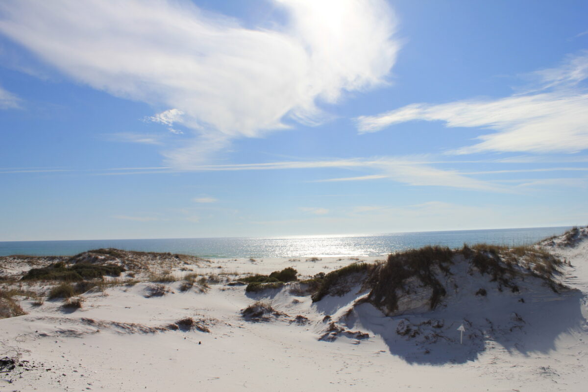 Panama City Beach Hot sunny day Dunes on Shell Island, Florida