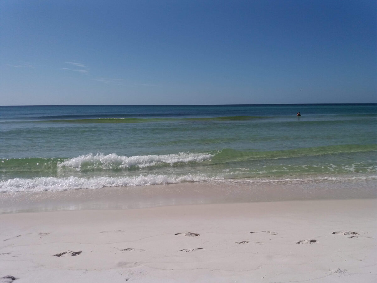 Grayton Beach State Park in Santa Rosa a Beach florida