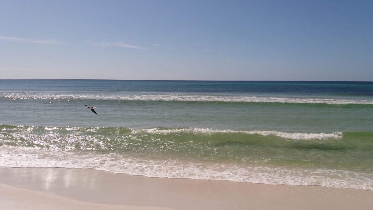 Grayton Beach State Park, Florida