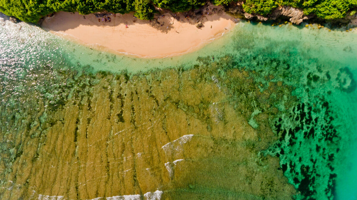 Top view on green bowl beach. Aerial view. Aerial view, Bali, Indonesia