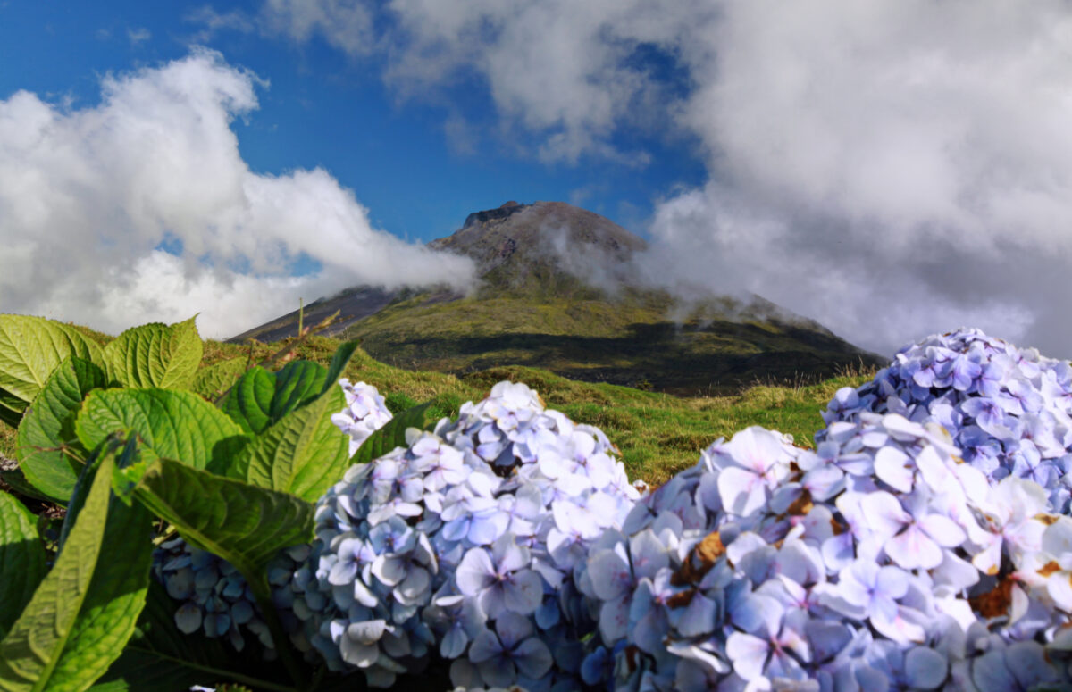 Pico, Azores Islands