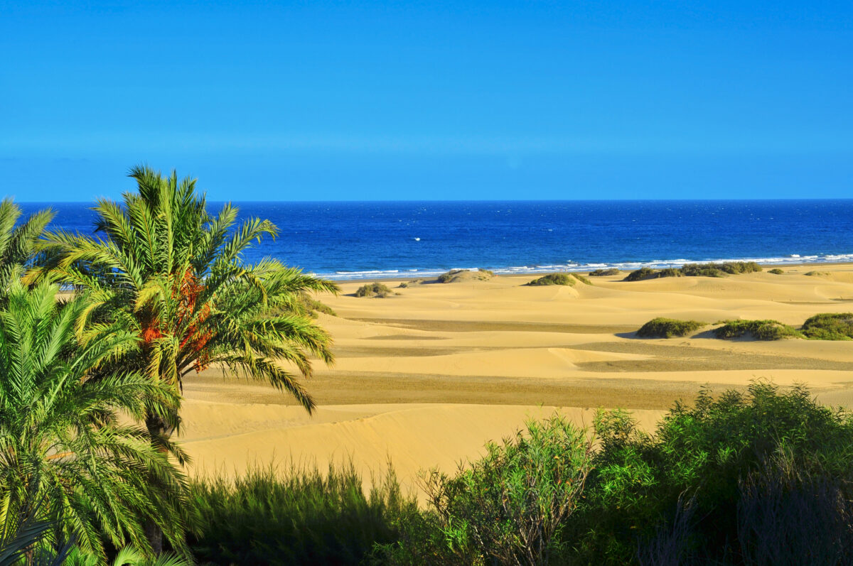 Natural Reserve of Dunes of Maspalomas, in Gran Canaria, Spain