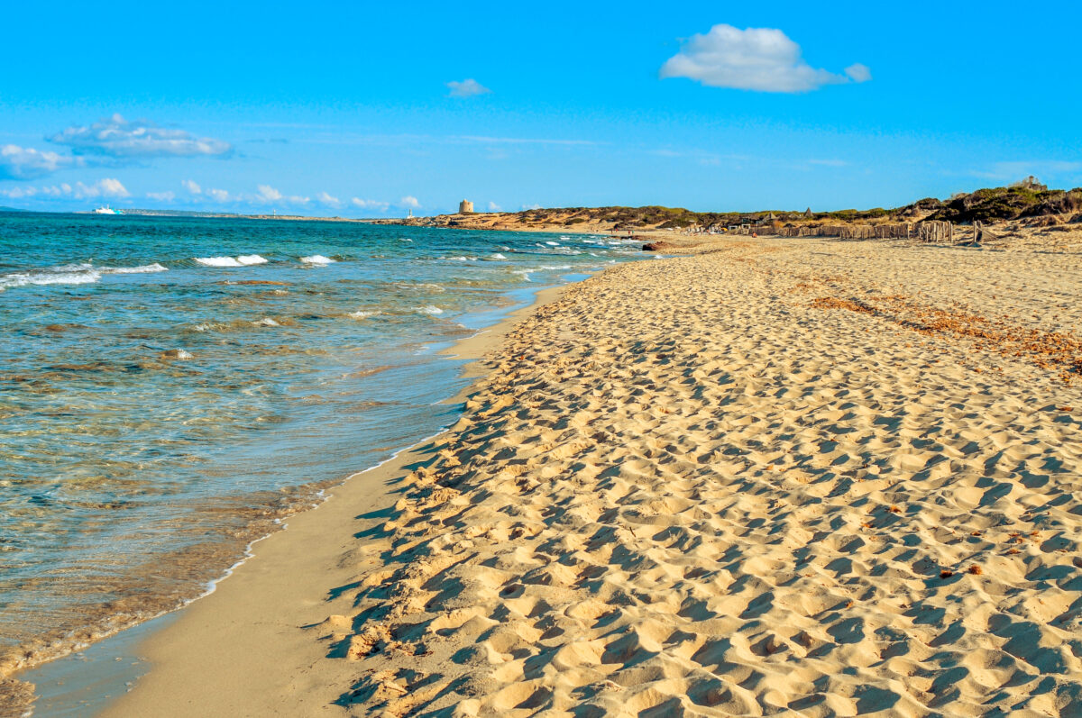 Panoramic view of the Es Cavallet beach, in Ibiza Island, Spain