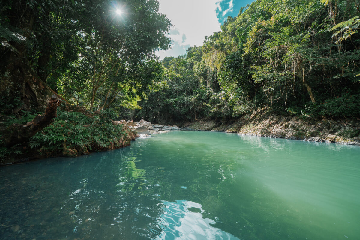 El Yunque Rainforest