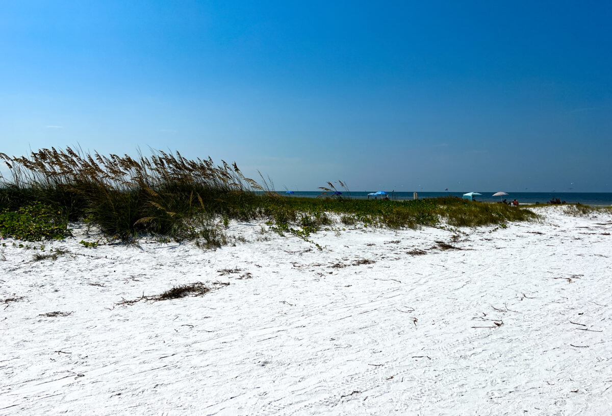 Sand with grass and water in back, Siesta Key Florida