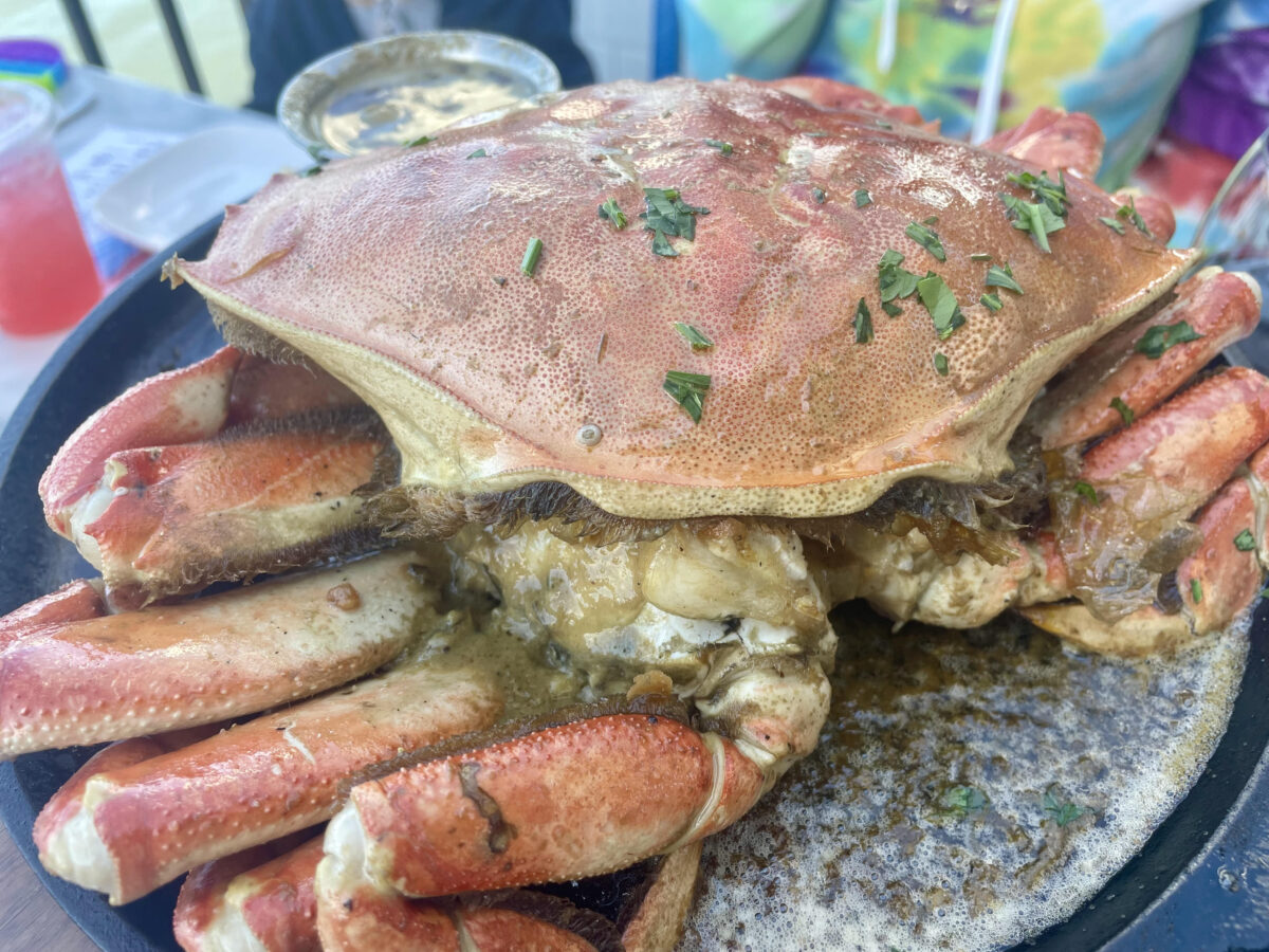 Sausalito Dungeness crab