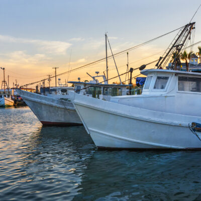 This Quiet Texas Beach Town Is a Dream for Anglers, Birders, and Beach Lovers 