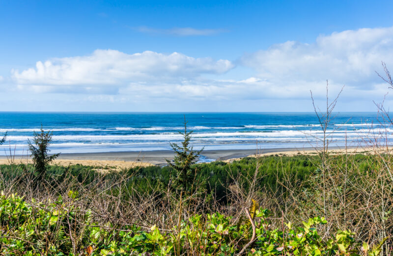 A lnadscape shot taken at Long Beach, Washington