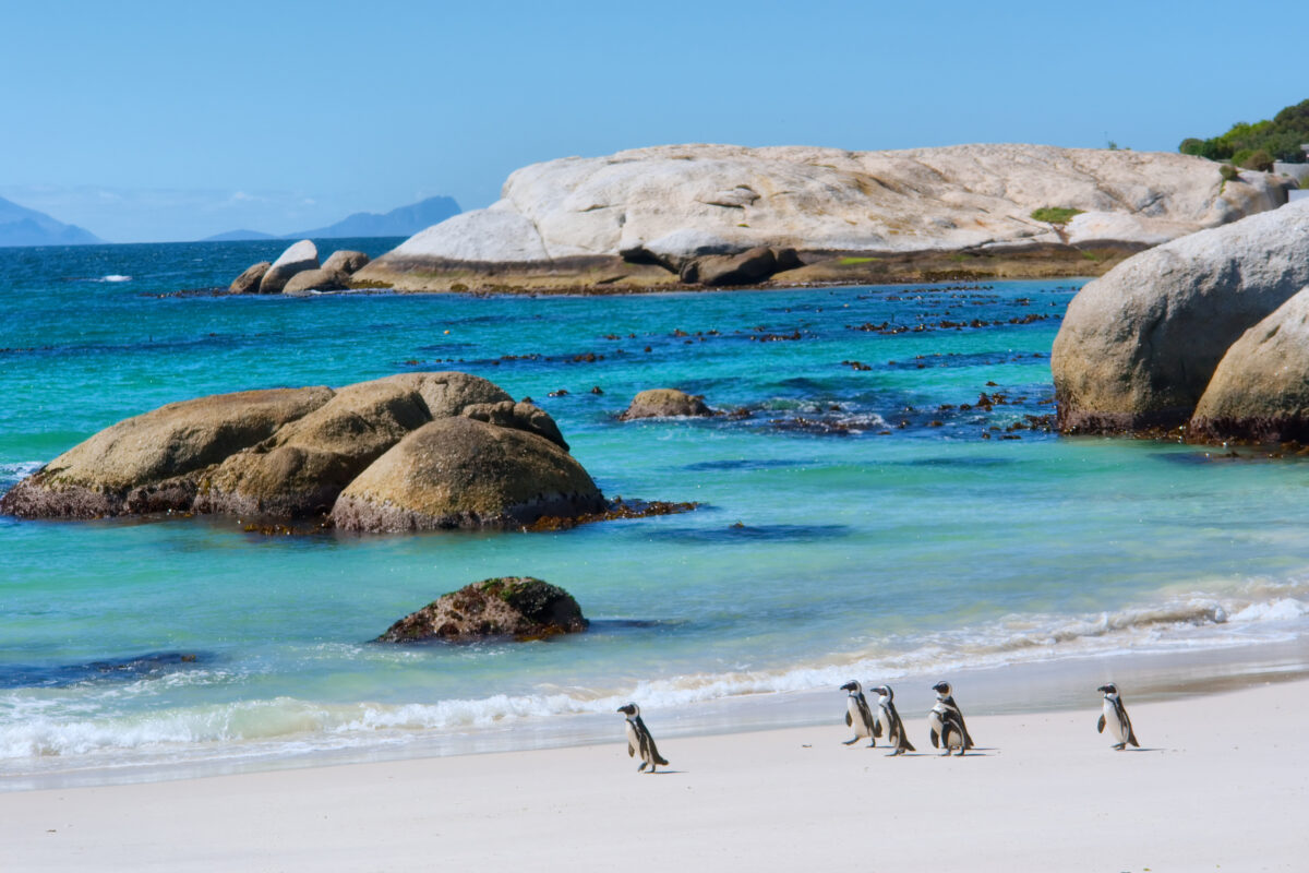 Boulders Beach, Cape Town, South Africa