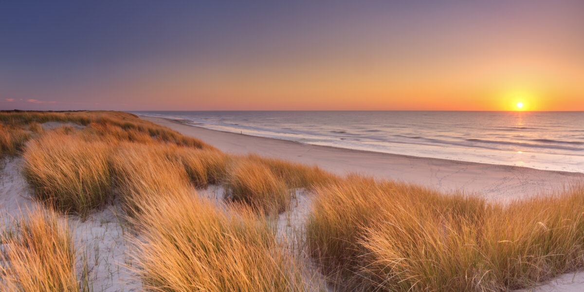 Dunes and beach at sunset on Texel island, The Netherlands.