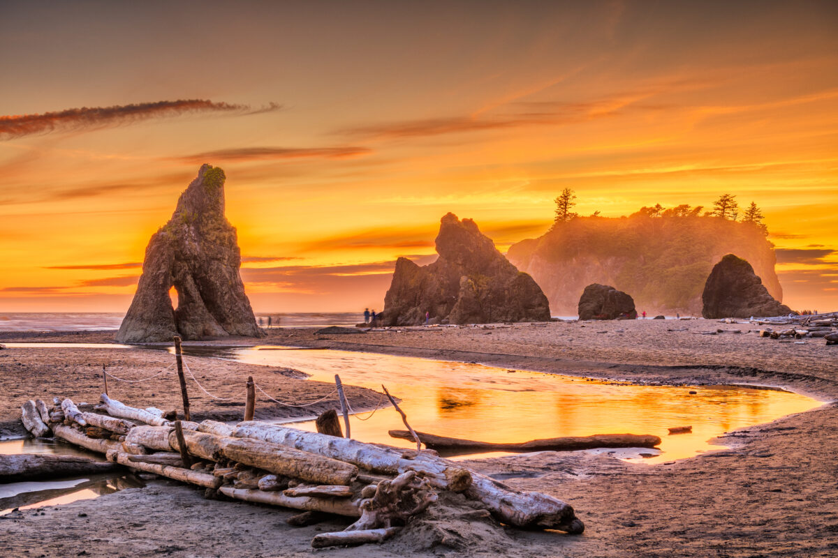 Olympic National Park, Washington, USA at Ruby Beach with piles of deadwood