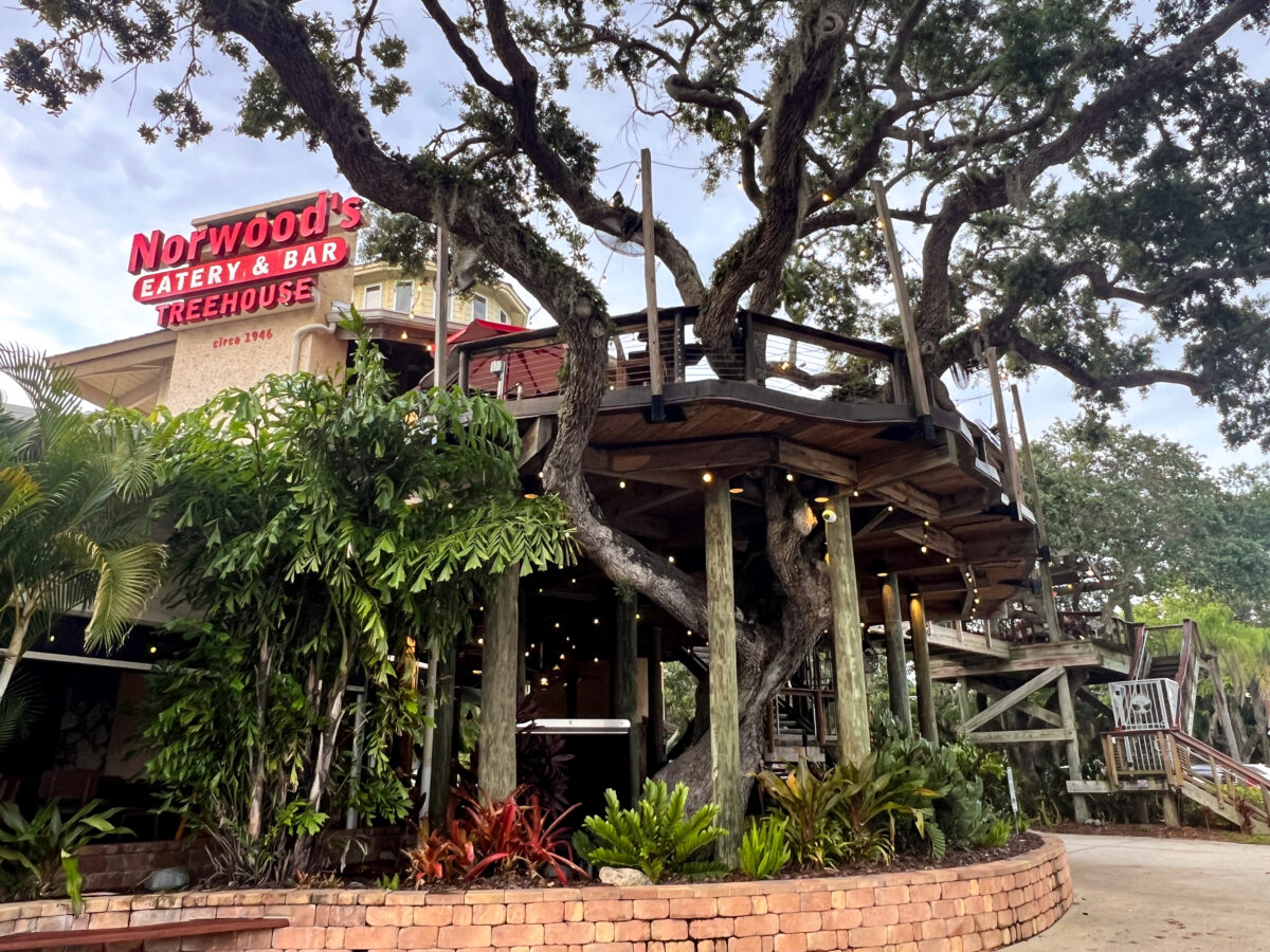 Exterior of Norwood_s Treehouse restaurant_New Smyrna Beach_Florida