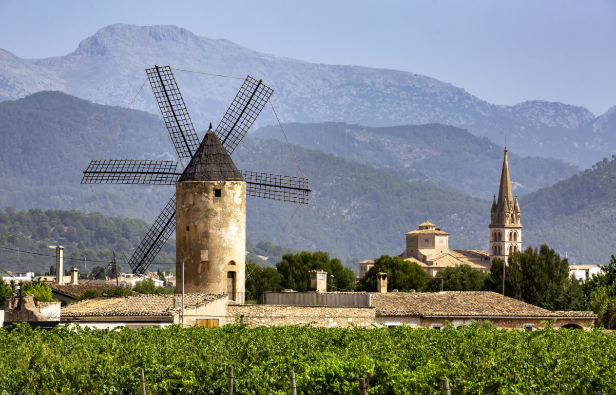 vineyards, Binissalem, Serra de Tramuntana, UNESCO World Heritage, Majorca