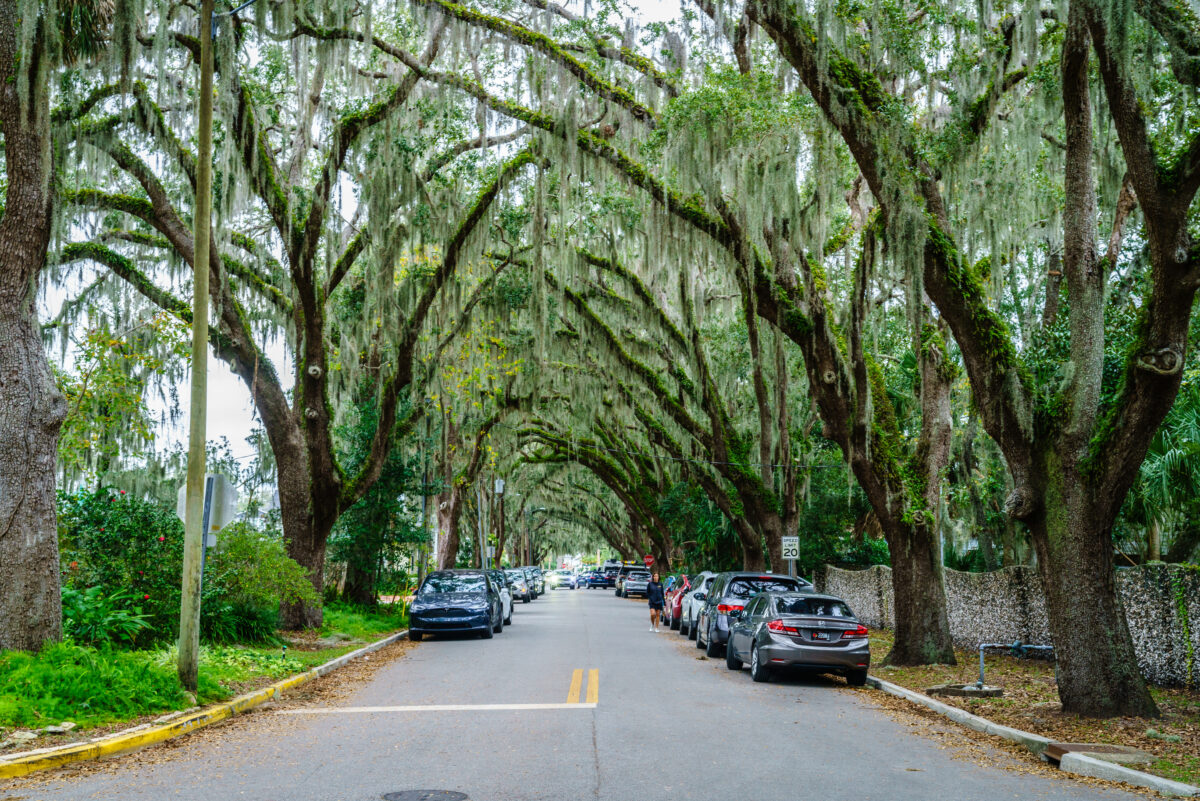 st augustine magnolia avenue