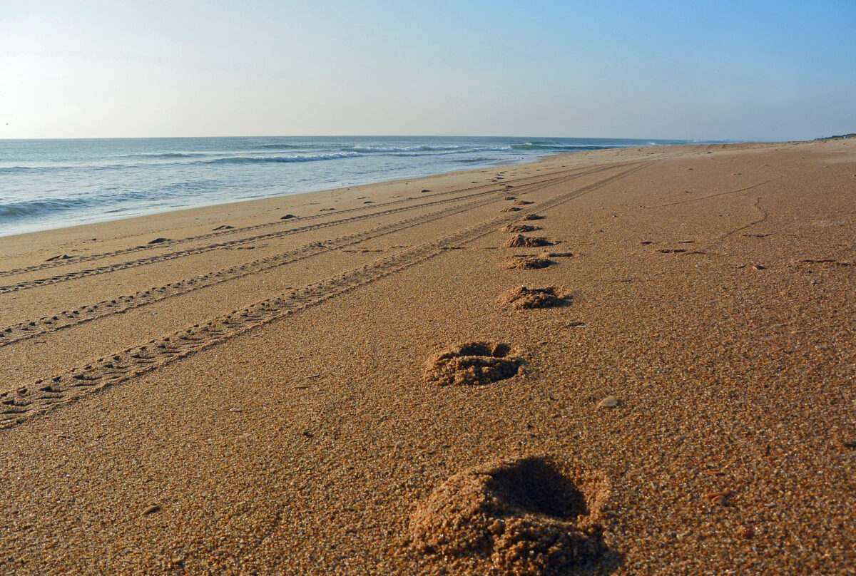 Duck, North Carolina