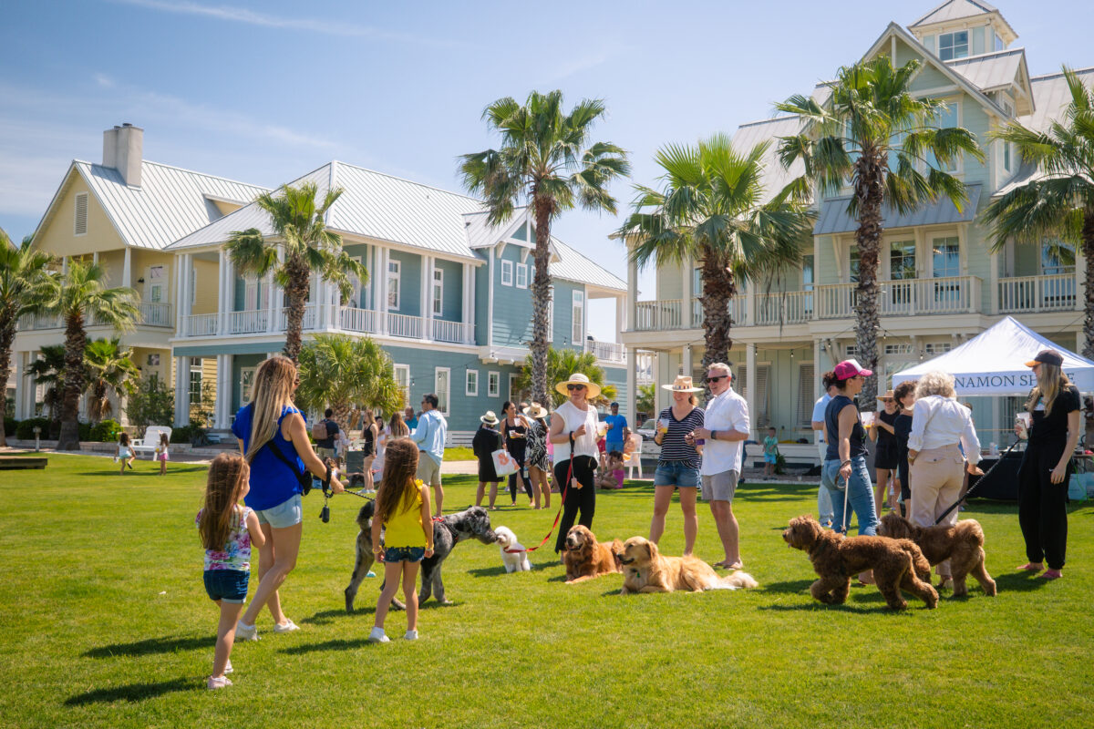 Great Lawn Fun