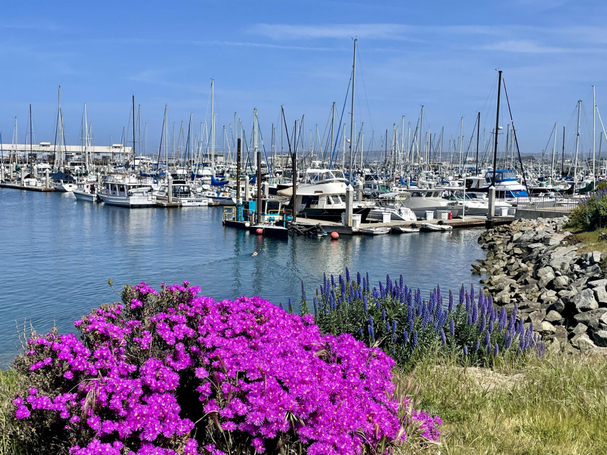 Old Fisherman's Wharf in Monterey
