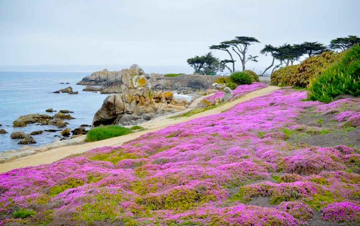 Pacific Grove, Lovers Point Park