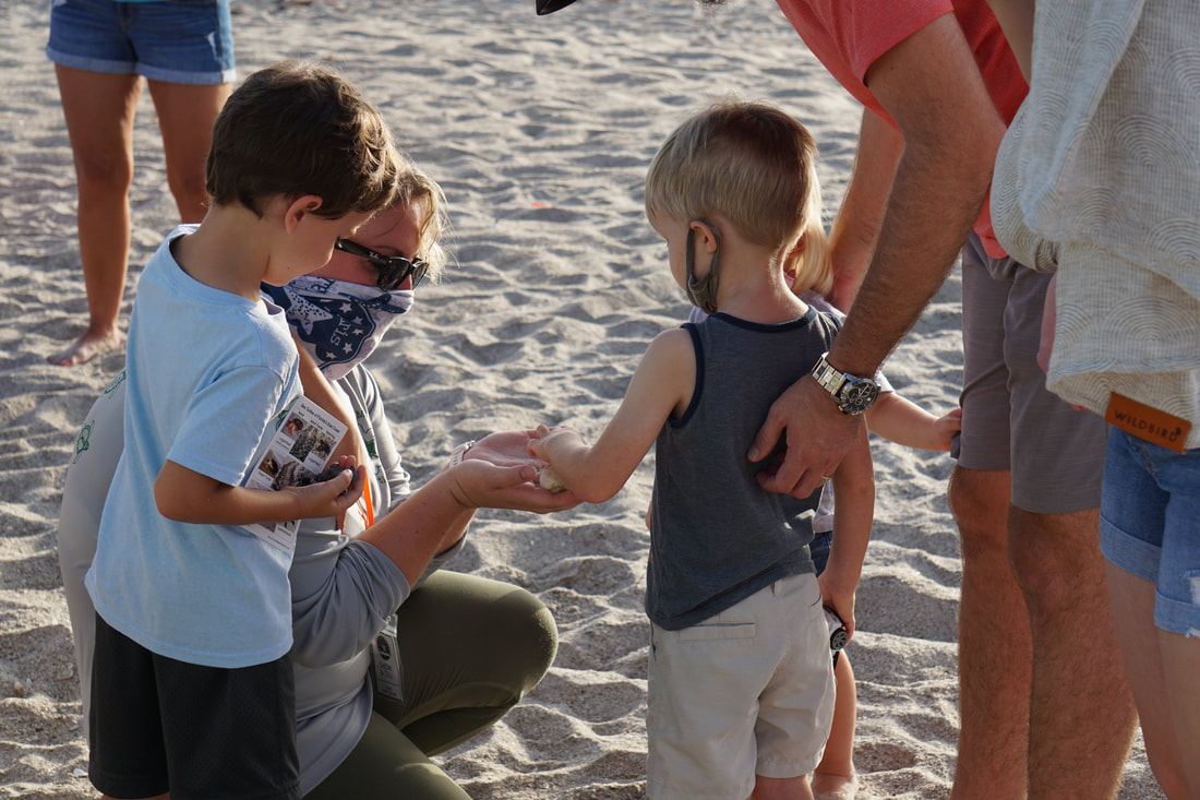 Photo from Stella Maris Environmental Research