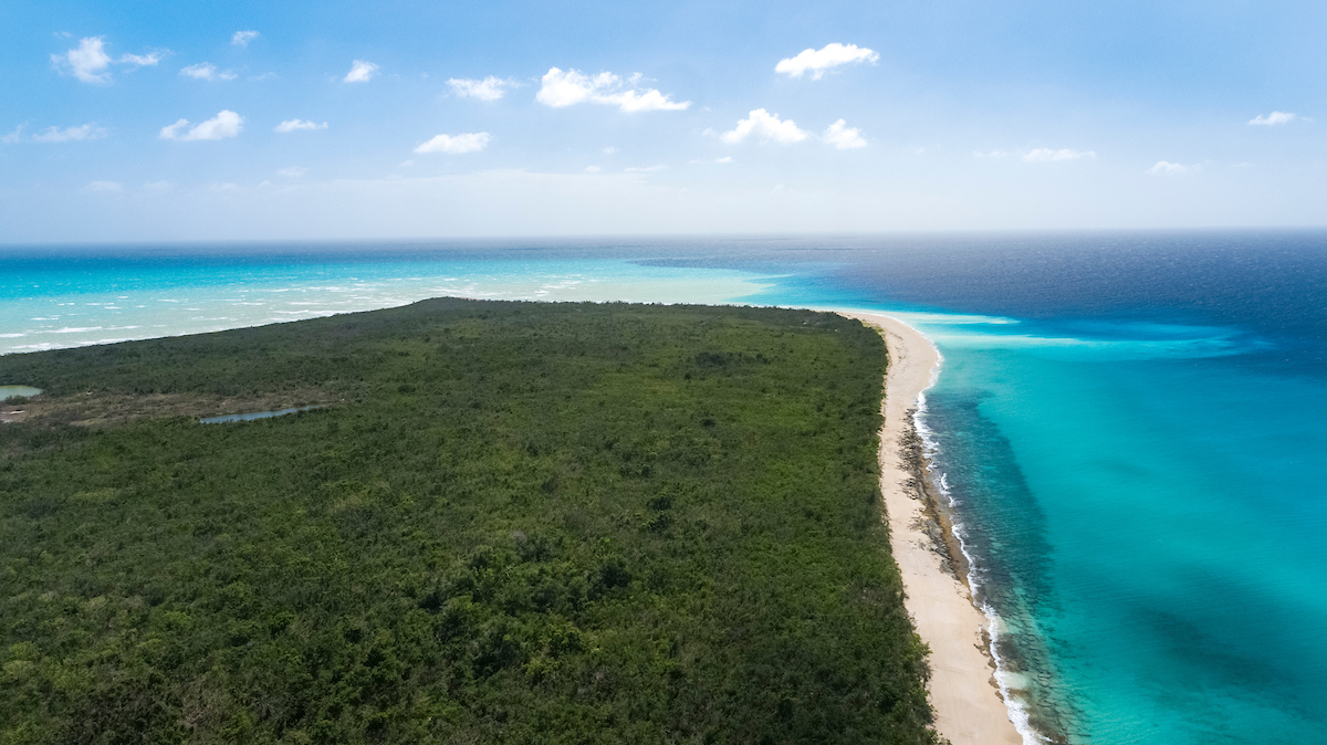 Sandy Point National Wildlife Refuge Beach Guide: St. Croix’s Most Secluded White-Sand Shore 