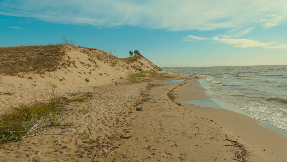 Curonian Spit reserve dunes