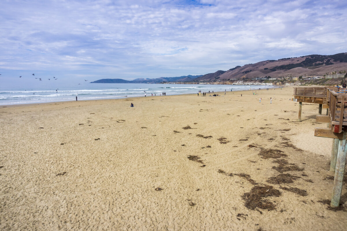 pismo state beach