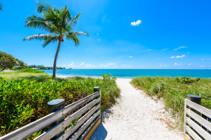 Sombrero Beach with palm trees on the Florida Keys, Marathon, Florida, USA