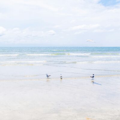 This Quiet SC Island Near Charleston Has No Hotels — and That’s the Point