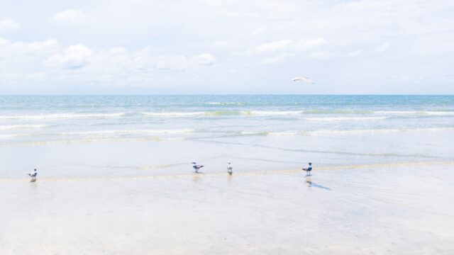 This Quiet SC Island Near Charleston Has No Hotels — and That’s the Point