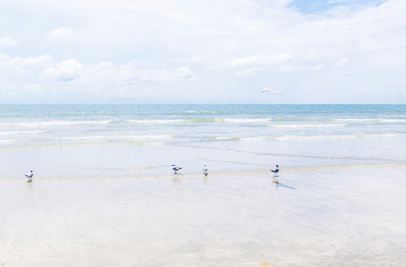 beach on Sullivans Island SC